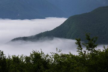 Forêt de nuages de Tuskestan, un site naturel spectaculaire au nord de l'Iran