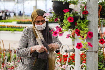 Réouverture du marché des fleurs et plantes d'Ispahan 