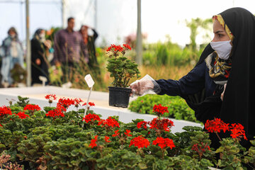 Réouverture du marché des fleurs et plantes d'Ispahan 