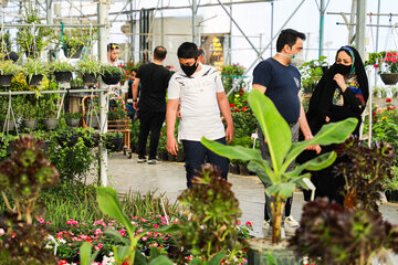 Réouverture du marché des fleurs et plantes d'Ispahan 