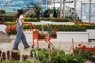 Réouverture du marché des fleurs et plantes d'Ispahan 