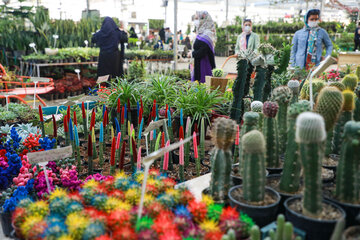 Réouverture du marché des fleurs et plantes d'Ispahan 