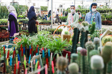 Réouverture du marché des fleurs et plantes d'Ispahan 