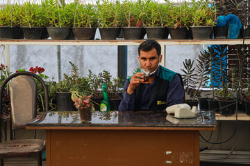 Réouverture du marché des fleurs et plantes d'Ispahan 