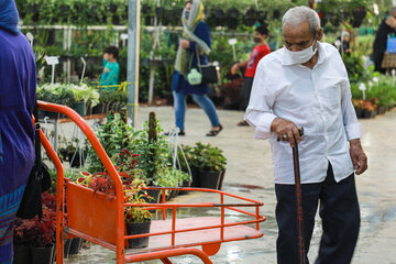 Réouverture du marché des fleurs et plantes d'Ispahan 