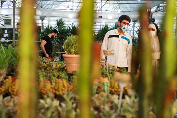 Réouverture du marché des fleurs et plantes d'Ispahan 