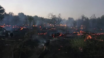 سه هکتار از جنگل‌های دزفول در آتش سوخت
