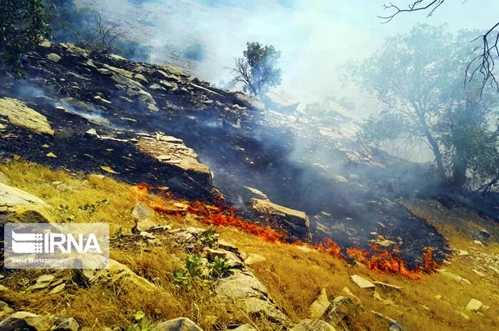 پوشش خشک مراتع همدان مستعد آتش‌سوزی است