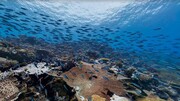 سرعت گرمایش جهانی با از دست دادن اقیانوس‌ها افزایش می‌یابد 