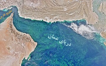 چگونه از ادامه مردگی آب دریای عمان جلوگیری کنیم؟
