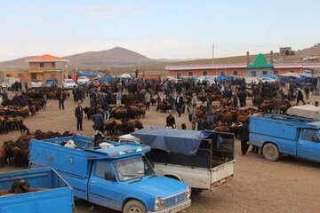 میدان دواب بوکان هفته آینده بازگشایی می‌شود 