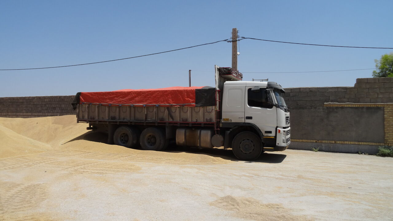 حمل گندم تولیدی استان اردبیل به سایر مناطق کشور ممنوع است