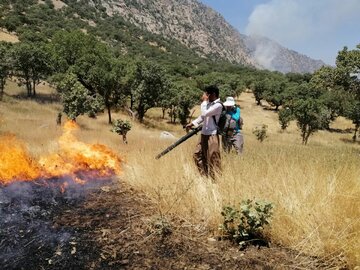 آتش‌سوزی بخشی از ارتفاعات هرم لارستان مهار شد