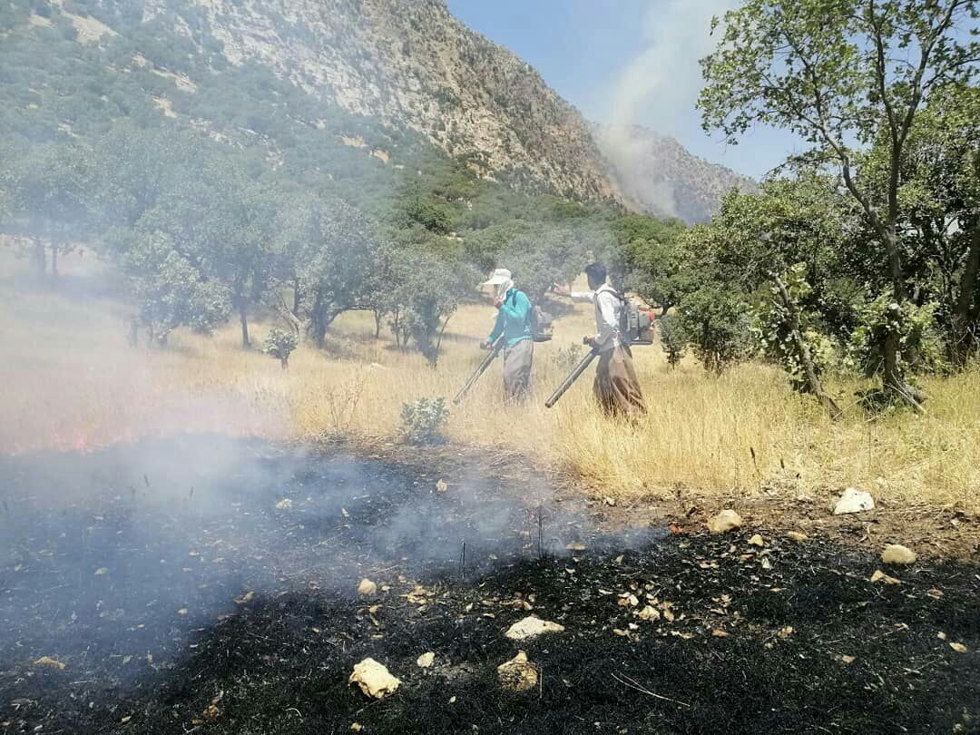 آتش‌سوزی بخش عمده‌ای از ارتفاعات دهنو خنج مهار شد