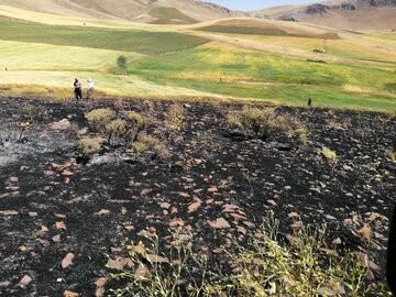 آتش‌سوزی در ارتفاعات کوه پهن  گچساران مهار شد