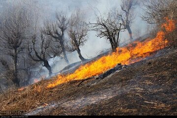 آتش در روستای آتشگاه لنده دوباره شعله‌ور شد