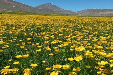 طبیعت دامنه های رشته کوه سهند