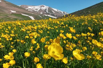 طبیعت دامنه های رشته کوه سهند