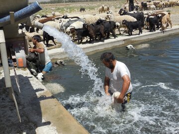 عکس آبرسانی به عشایر یزد