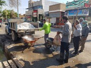 آغاز مبارزه با حشرات و جوندگان موذی در گنبدکاووس