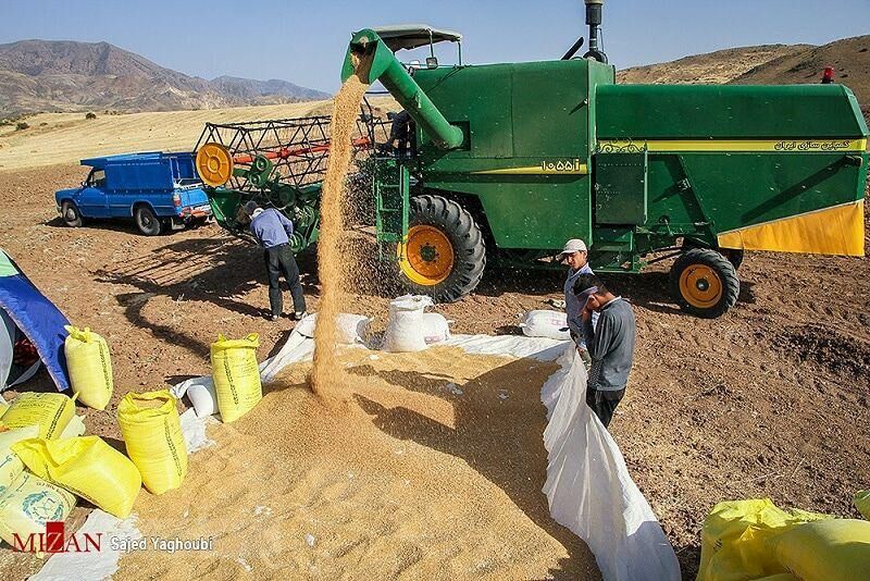 بیش از ۱۰ درصد گندم کشاورزان خلخالی خریداری شد 