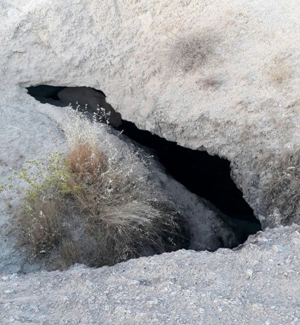 New cave with hundreds of thousands of bats found in western Iran