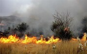 آتش‌سوزی گسترده مراتع علی‌آباد نیزار قم همچنان ادامه دارد