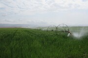 ۹۰ درصد آبیاری نوین خراسان جنوبی در دولت تدبیر و امید انجام شد