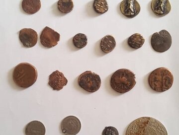 کشف سکه‌های تاریخی در ایست بازرسی نی‌ریز 