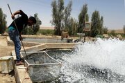 ۲۵ هکتار مزرعه غیرمجاز پرورش ماهی در شادگان تخریب شد