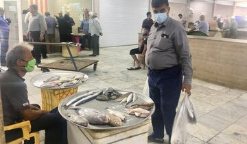 علت قطع آب بازار ماهی فروشان دیر اعلام شد