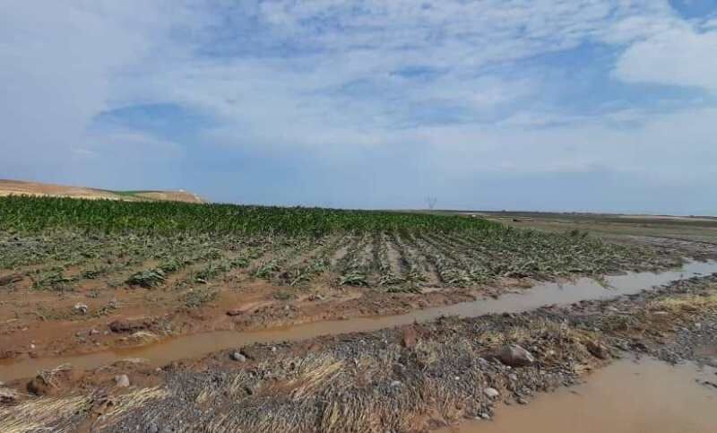 سیل به راه روستایی و مزارع روستای خانکندی بیله‌سوار خسارت زد