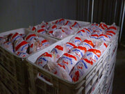 توزیع ۲۰ تُن مرغ با قیمت دولتی در قشم آغاز شد