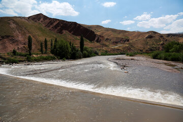 آب رودخانه شاهرود در رگ شالیزارهای الموت