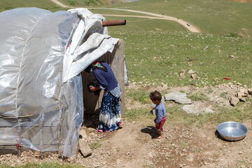 ۸۵ هزارنفر زیر پوشش صندوق بیمه روستایی وعشایری گیلان قرار گرفتند