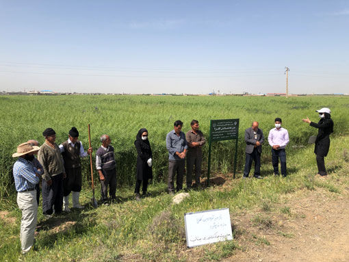 بهره‌مندی ۶۰ هزار کشاورز آذربایجان‌شرقی از آموزش‌ مجازی