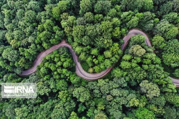 Hyrcanian forests in Northern Iran; Golestan Parovince