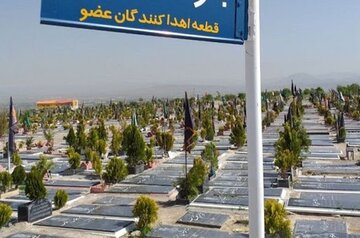 ۳۹ اهداکننده عضو در آرامستان بهشت رضا (ع) دفن شده‌اند