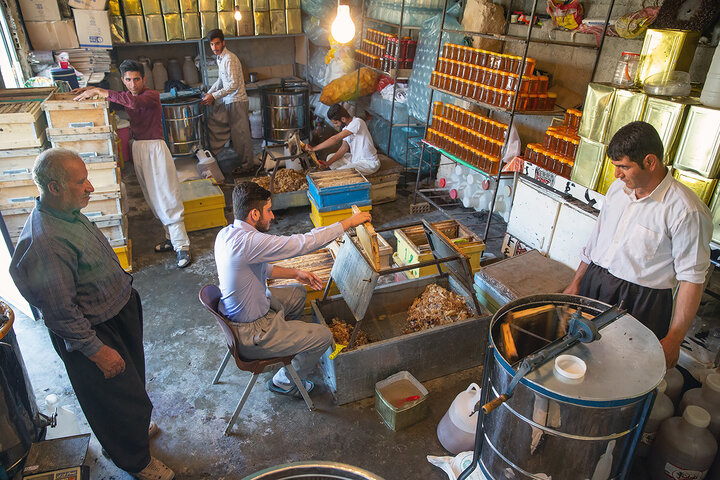 خانواده کارآفرین کرمانشاهی؛ تولیدکنندگانی که ۱۰ کندو زنبور عسل را ۲۰۰ برابر کردند