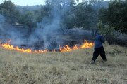 ۳۵ آتش‌سوزی در عرصه‌های طبیعی ایلام مهار شد