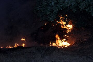 آتش سوزی در منطقه تنک حمام ایلام