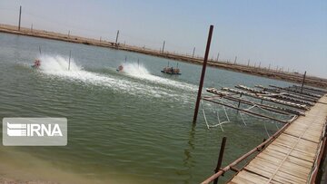 استحصال آبزیان در خوزستان ۶ درصد افزایش یافت
