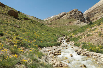 ذخیره‌گاه دنا میراث گران‌بهای طبیعی