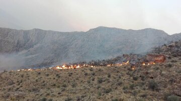 آتش‌ سوزی در ارتفاعات بیدشهر اوز فارس خاموش شد