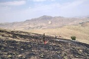 آتش‌سوزی ۳ هکتار از مراتع بوکان مهار شد