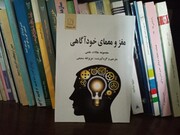 مجموعه مقالات علمی در کتاب « مغز و معمای خودآگاهی»