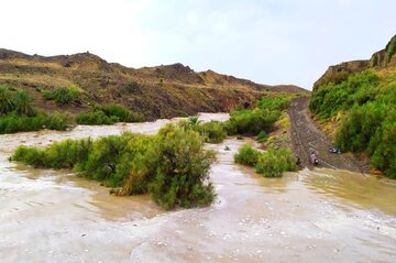 کسری آب در برخی دشت‌های استان مرکزی متوقف شده است