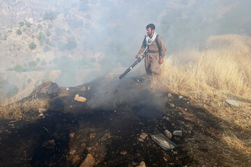 فرماندار پاوه: آتش‌سوزی منطقه حفاظت شده «بوزین و مرخیل» مهار شد