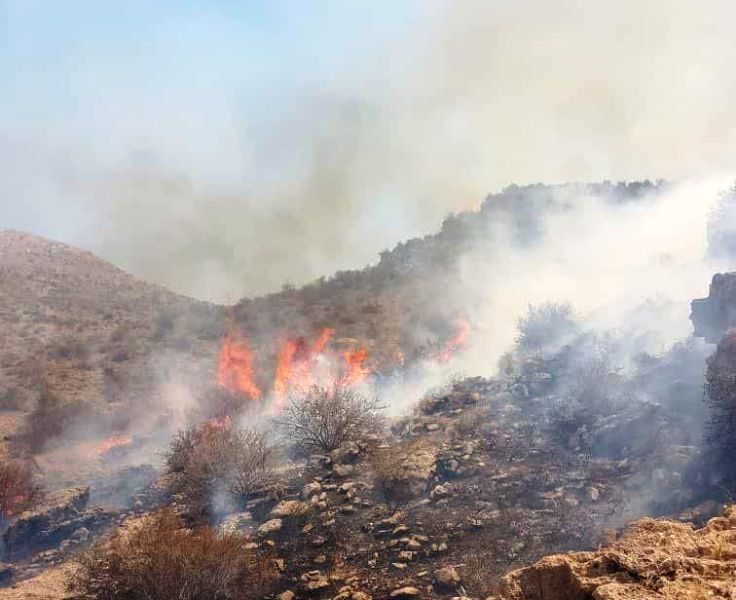 آتش سوزی جنگل ها و مراتع باشت مهار شد