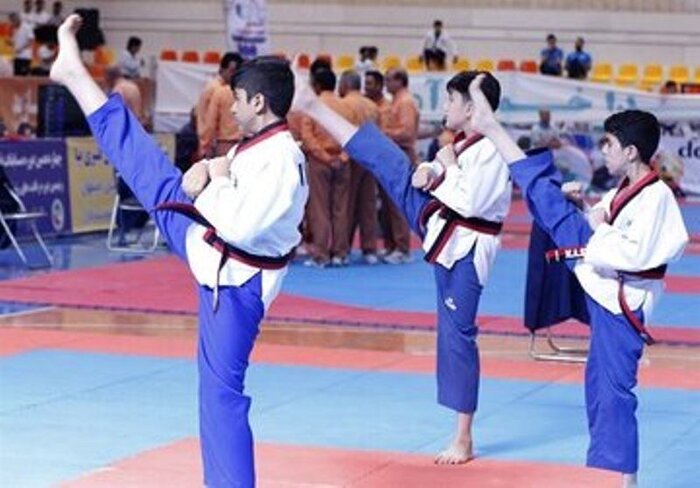 Un athlète iranien remporte la médaille d'or dans un tournoi de taekwondo en ligne